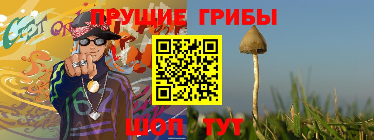 Псилоцибиновые грибы Psilocybine cubensis  Галлюциногенные грибы MAGIC MUSHROOMS  Вход с VPN  Ефремов 