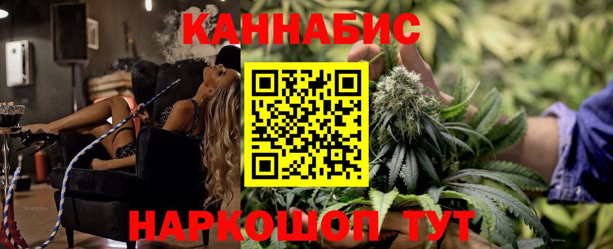 Бошки Шишки планчик Ефремов